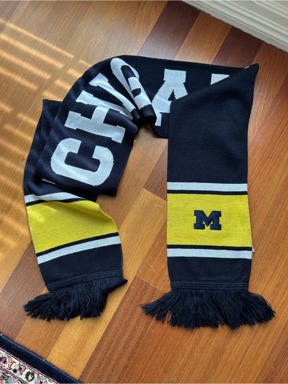 University of Michigan game day essentials - Picture 4 of 15